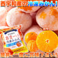 えひめのあまーい 冷凍 みかん どっさり21個(7個入×3袋・約900ー1000g)愛媛県西宇和産みかん100%使用!