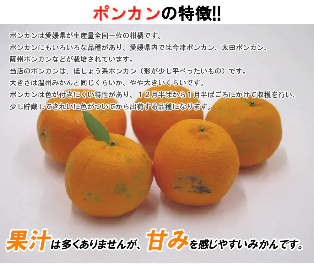 ポンカン 訳あり 愛媛 5kg 送料無料 ご家庭用 箱買い サイズミックス みかん 蜜柑 産地直送 愛媛県産 YDF-003
