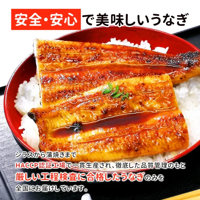 国産 うなぎ蒲焼き 約170g×3尾 送料無料 九州産 今だけ200gにグレードアップ