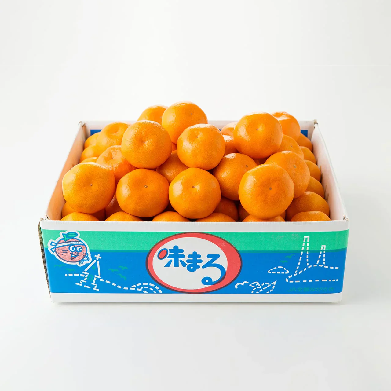【高糖度！味まるみかん！長崎県産　糖度12度以上！　甘く濃厚な味わいをどうぞ】豊洲市場仕入れ　みかん