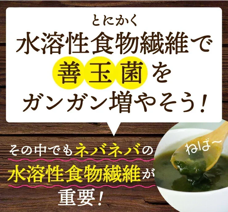 女王様のすごいねばねばスープ 12包／野菜買うより断然お得 1日の不足分６０００ｍｇネバネバ食物繊維／おいしく腸活　ぷるるん姫