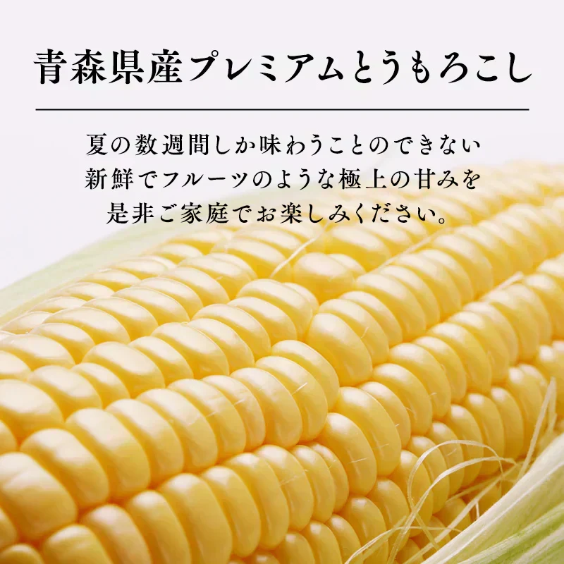 【朝採&産地直送！】青森県産 プレミアムとうもろこし 嶽きみ 12本セット とうもろこし トウモロコシ 野菜 だけきみ