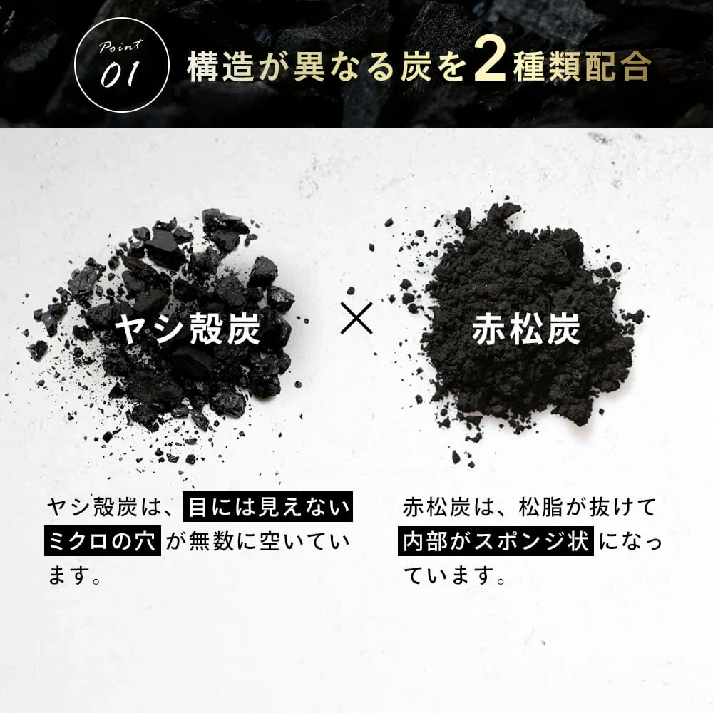 炭の恵み《約6ヶ月分》  炭 ダイエット サプリ サプリメント チャコールクレンズ  乳酸菌 炭サプリ オリゴ糖 炭クレンズ りんご線維 食物繊維 黒酢 もろみ 黒生姜  赤松炭【大容量】