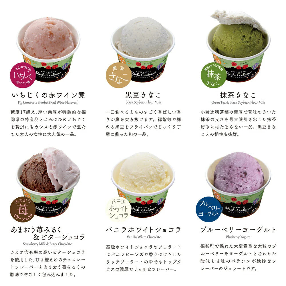 ふくち☆リッチジェラート ミドルセット 9個入【送料込み】【お届け不可地域：北海道・沖縄】
