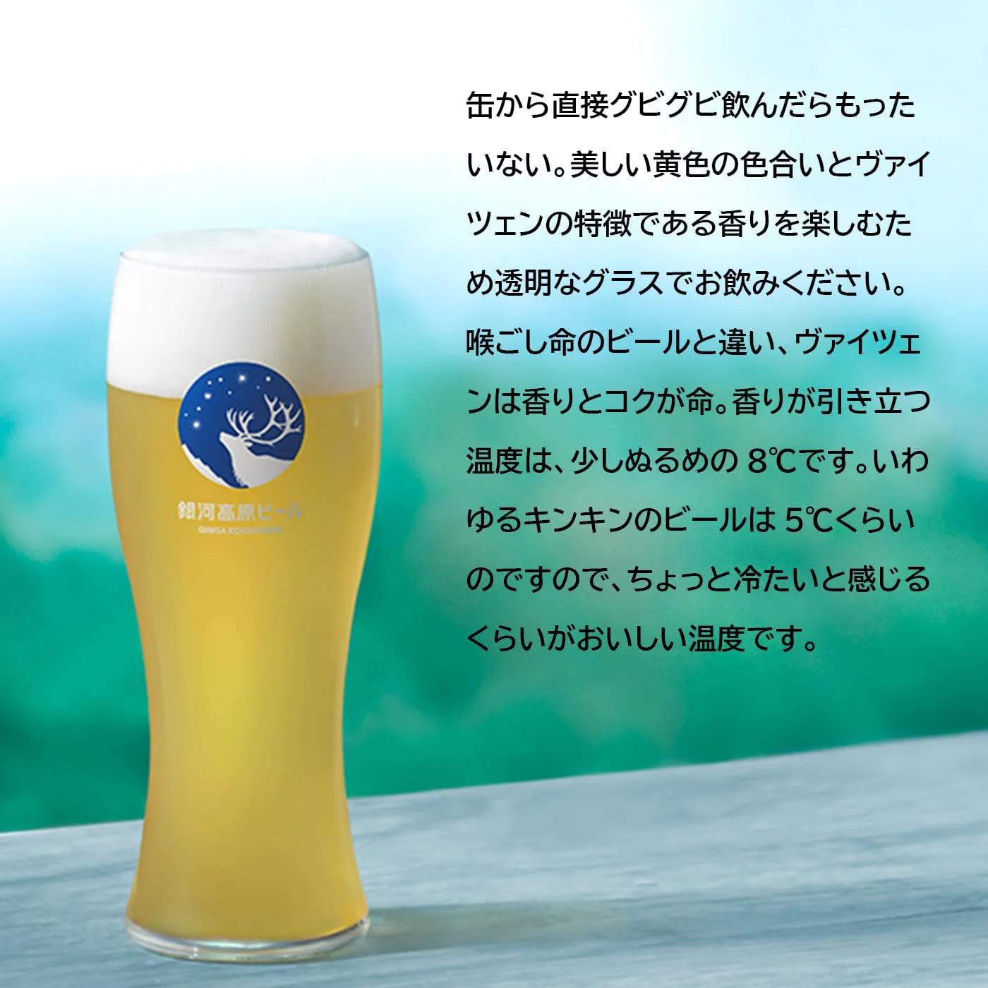 【送料無料】 銀河高原ビール 小麦のビール  350ml×1ケース/24本【本州(一部地域を除く)は送料無料】