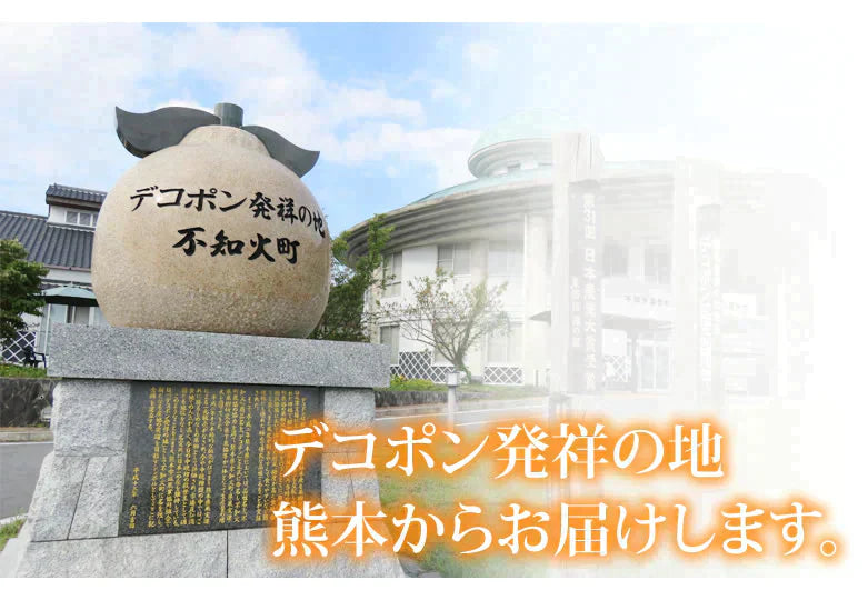 【12月下旬～1月上旬頃より順次出荷】デコポン 同品種 デコみかん 訳あり 送料無料 4kg ハウス栽培 みかん 熊本県産 不知火 ミカン 蜜柑