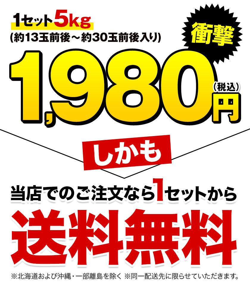 河内晩柑 5kg 送料無料 和製 グレープフルーツ フルーツ 果物 みかん 訳あり 夏文旦 晩柑 ジューシーみかん 熊本県産 《1-5営業日以内に発送予定》