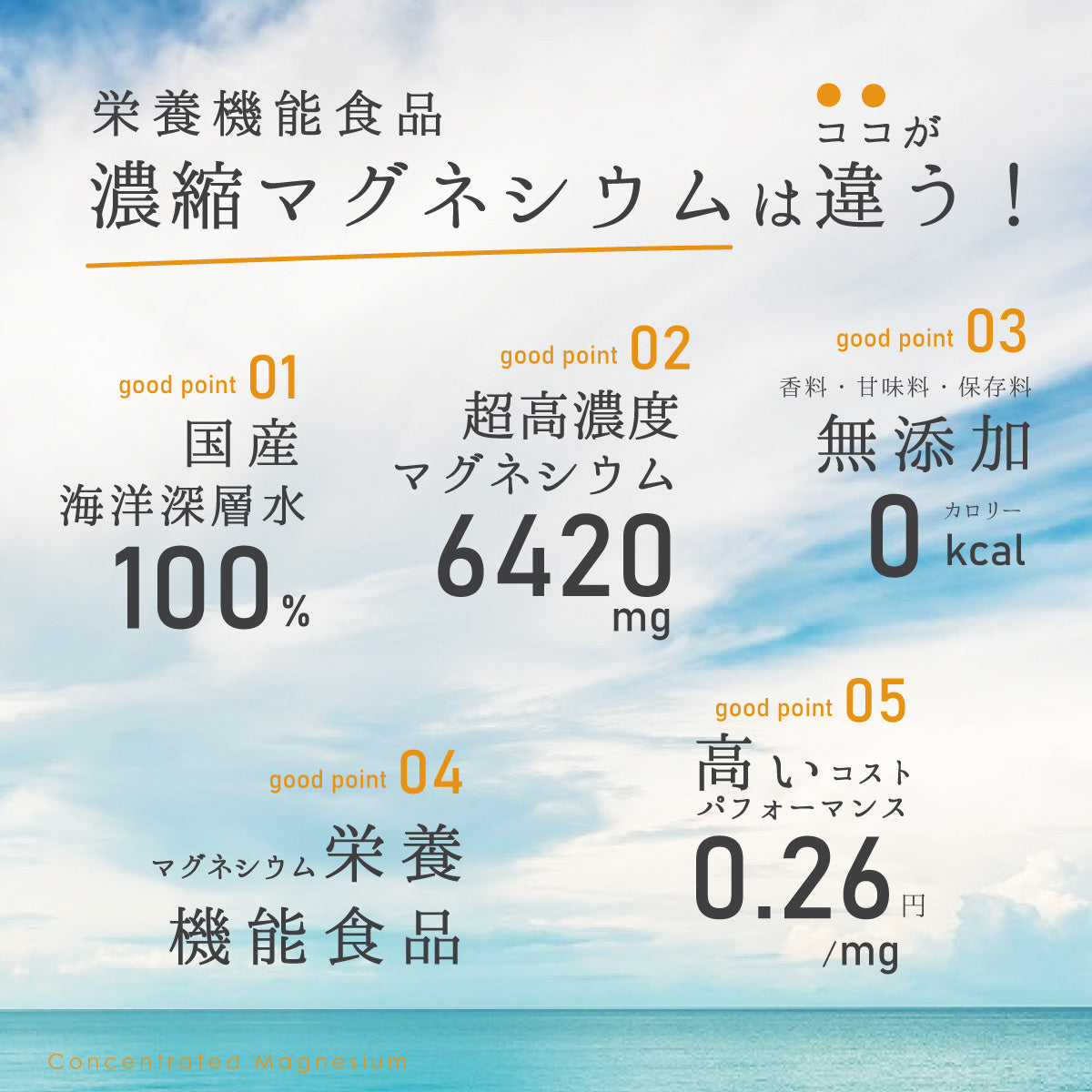 濃縮マグネシウム 500ml 3本