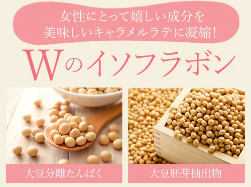 美味しい エンプレッセ キャラメルラテ 【バストサポート カフェラテ Caramel Latte 女性 モテBODY アップ ケア 上品 美ボディ 美乳 ダイエット 】