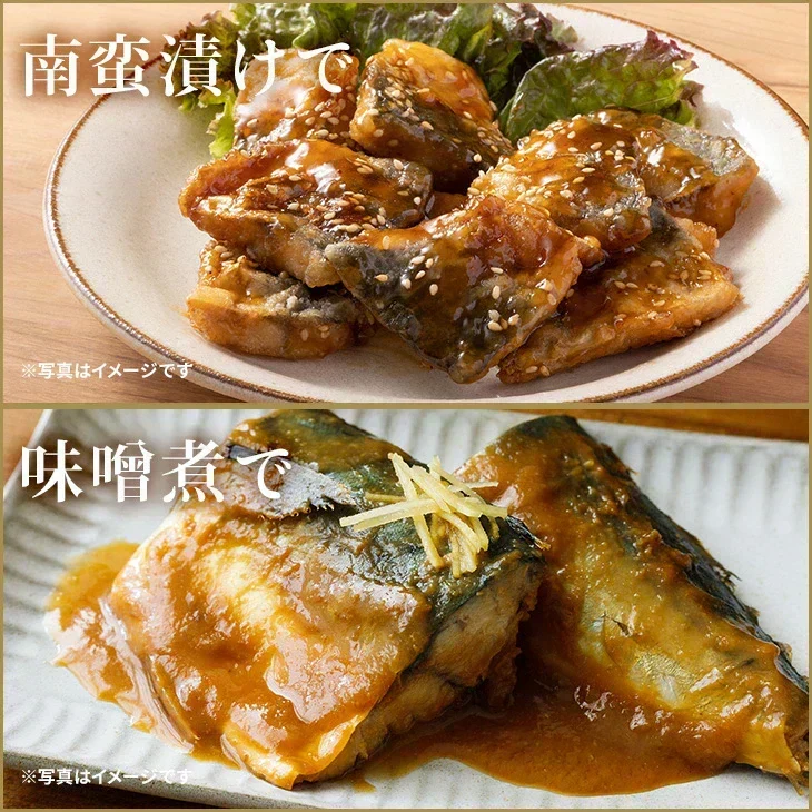 【無塩・無添加】トロサバ“骨取り”切身 大ぶり70g x 15枚=合計1.05kg 小分け350g (70g x 5枚) x 3パック