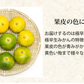 みかん 訳あり 送料無料 5kg 熊本みかん 熊本県産 極早生みかん 蜜柑 ミカン