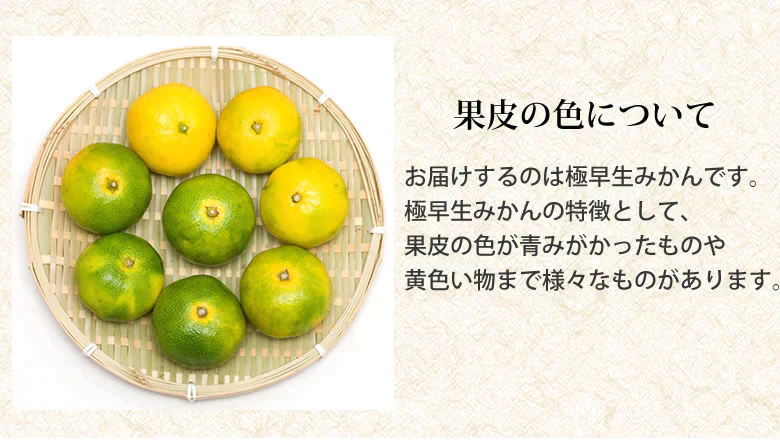 みかん 訳あり 送料無料 5kg 熊本みかん 熊本県産 極早生みかん 蜜柑 ミカン