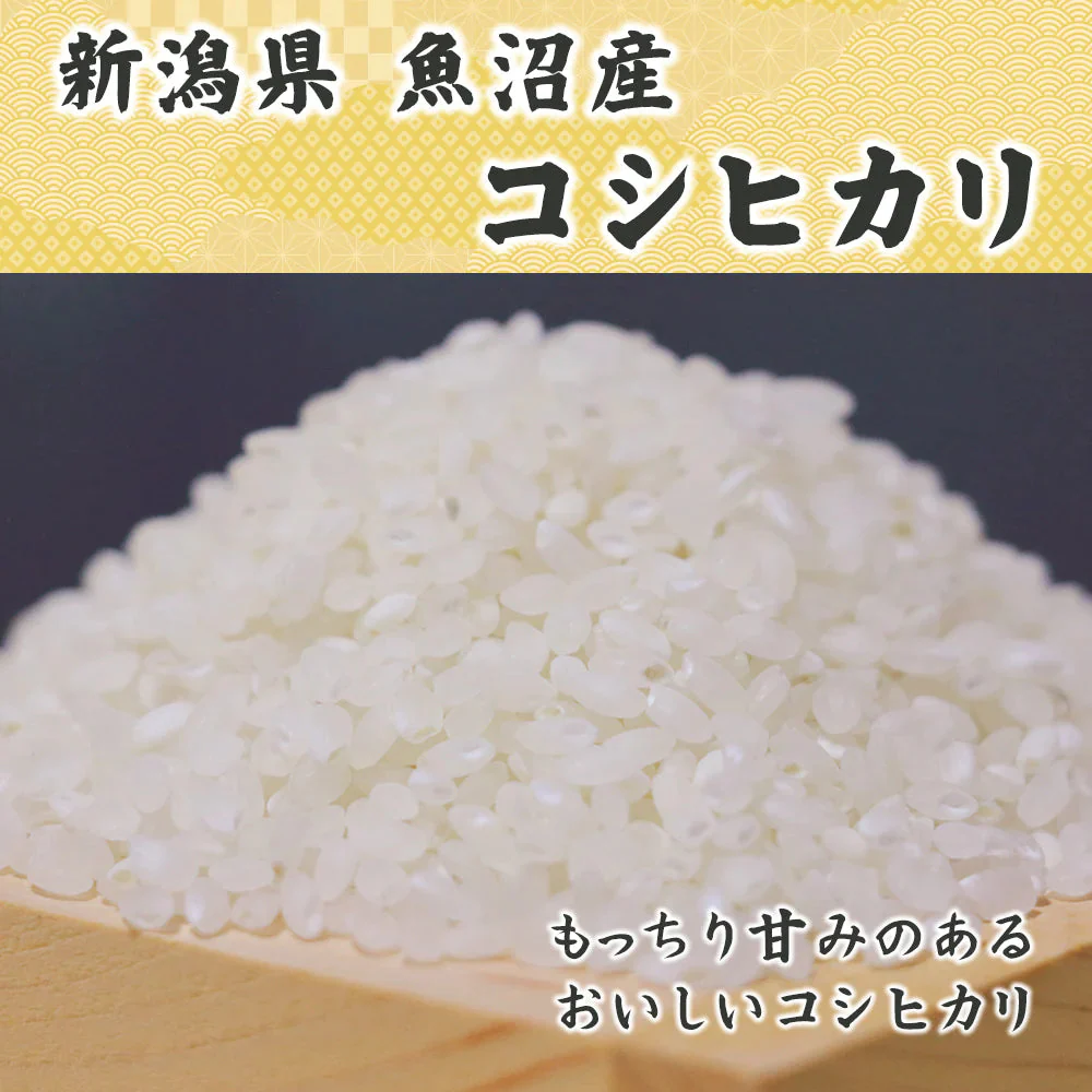 【白米】魚沼産 コシヒカリ 5kg 精白米 国産 国産コシヒカリ100％ 送料無料 精米工場からの直送品
