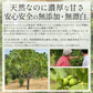 大粒 熟成 ドライいちじく 700g トルコ産 ドライいちじく イチジク ドライイチジク 無花果 お徳用 スイーツ お菓子 贈り物 美味しいもの 送料無料  天然 製菓 製パン 食品 食べ物 ギフト プレゼント ※ポスト投函商品の発送は1～2週間前後になります