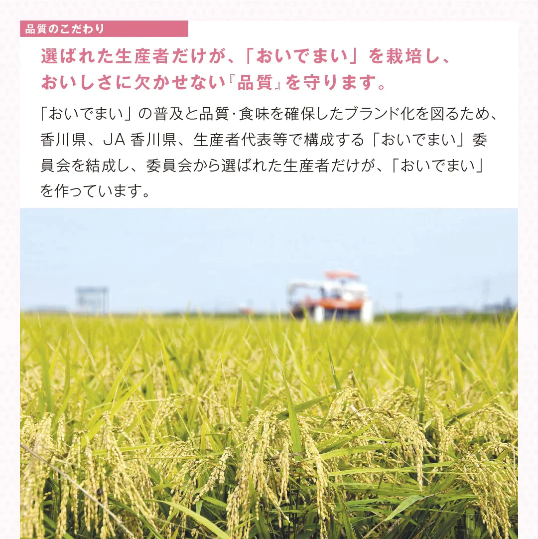 米 精米 香川県産 おいでまい 2kg 令和5年産 新米 お米 白米 おくさま印 国産 食品 ギフト 引っ越し 挨拶 出産 内祝い 母の日 父の日 お中元 お歳暮 結婚 快気 還暦 香典返し 寒中 暑中見舞い お年賀 送料無料