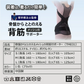 骨盤からととのえるメッシュの背筋サポーター(Mサイズ)/背筋を伸ばして骨盤を引き締める 理学療法士監修 背筋 骨盤 肩甲骨 姿勢 猫背 S字ライン姿勢矯正ベルト 男女兼用 美矯正サポーター 骨盤 腰 ダイエット 体幹 姿勢 シェイプアップ ヒップアップ 代謝アップ ウエスト くびれ 下半身 下腹背筋 引き締める 背筋 肩甲骨 姿勢 猫背 S字ライン