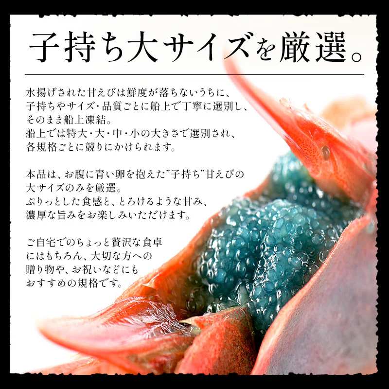 越前産 甘えび 子持ち 大サイズ 1kg（500g×2箱）80～90尾入り 刺身用 甘エビ［送料無料］産地直送 海鮮 エビ セット 海老 大 美味しい 大きい えび 冷凍えび 冷凍エビ 贈り物 贈答 母の日 プレゼント ギフト  母の日思いの 健康 実用的 父の日 子供 孫