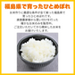 【新米】米 10kg 送料無料 福島県産ひとめぼれ 10kg(5kg×2袋) 令和5年産 白米 お米 精米済み あす楽