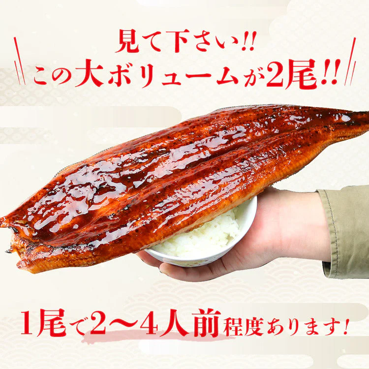 巨大うなぎ蒲焼 2尾 400g前後×2本 かばやき ウナギ うなぎ 土用丑の日 鰻蒲焼 送料無料 冷凍便 お取り寄せグルメ 食品 ギフト