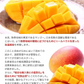 宮崎県産 完熟マンゴー マンゴー 2玉 化粧箱入り (Mサイズ:約240g～約309g) 送料無料 健康 ギフト プレゼント フルーツ 食べ物 贈答 旬の果物 贈答用