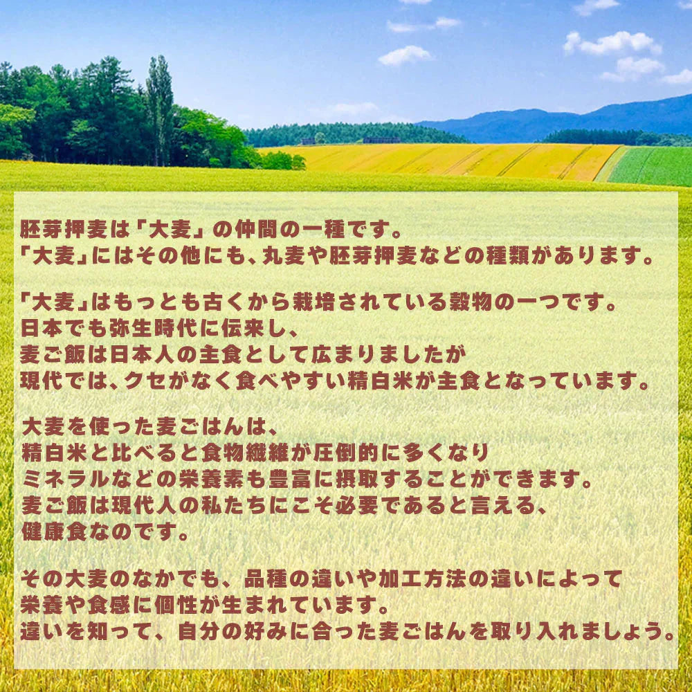 雑穀 雑穀米 国産 胚芽押麦 800g(400g×2袋) 定番サイズ 無添加 無着色 送料無料