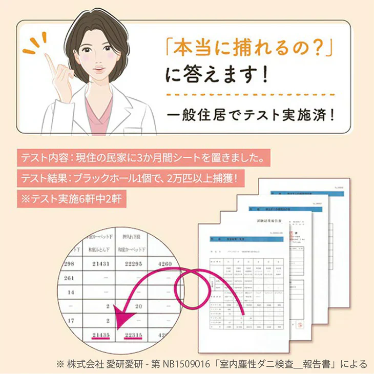 ダニ捕りパック【ブラックホール®】　2個入