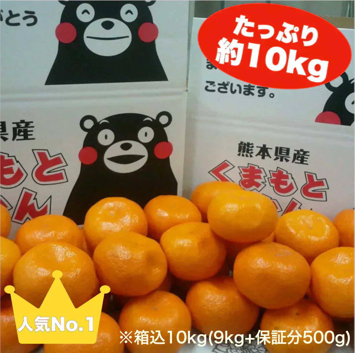 熊本産 みかん 訳あり 約10kg（箱込10kg 9kg+保証分500g）ご家庭用 送料無料