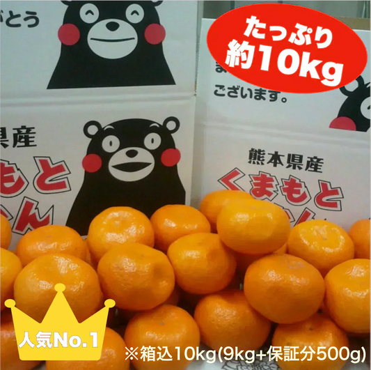 熊本産 みかん 訳あり 約10kg（箱込10kg 9kg+保証分500g）ご家庭用 送料無料