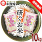 【令和7年産】秋田小町 10kg 5kg×2 送料無料 研ぐお米 千葉県産あきたこまち 大人気銘柄