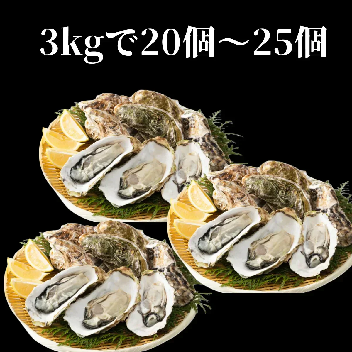 北海道 牡蠣 3Kg カキ サロマ湖産 生カキ 産地直送 生食用 殻付 カキ殻 大粒 殻 付き 牡蠣 グラタン牡蠣 北海道 お歳暮 年末 3キロ プリプリ 牡蠣 殻付き 牡蠣 ギフト 冷蔵 生きたまま 活牡蠣 かき 牡蠣 生食 紋別 冬グルメ