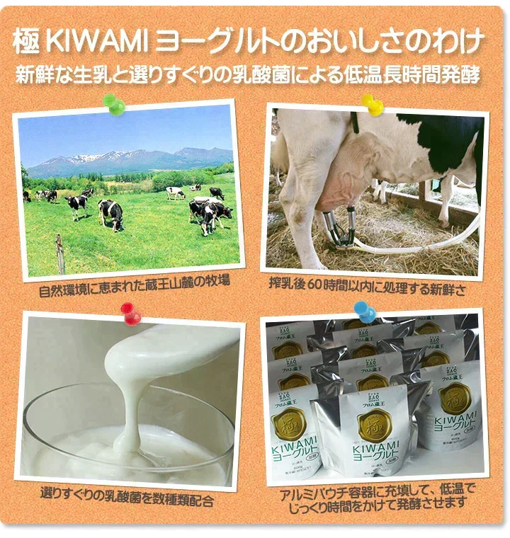 【送料込み】フロム蔵王　極(KIWAMI)ヨーグルト600g×3個（無糖）