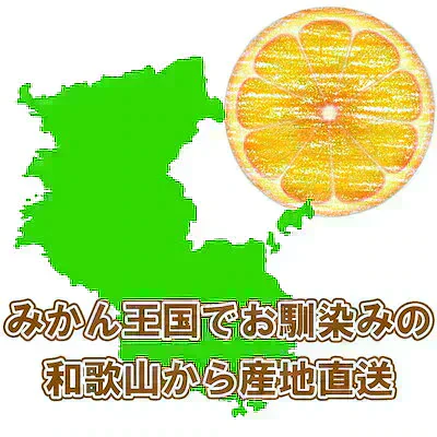 (11月上旬発送予定商品) みかん 2キロ 和歌山県 有田産 有田みかん