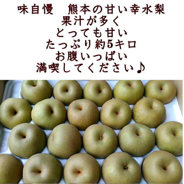 幸水梨　秀品　約5キロ（約8玉〜20玉）熊本産　なし　梨　ナシ　【クール便】【7月下旬～8月下旬発送】