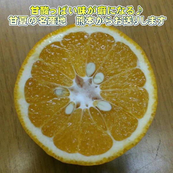 甘夏 訳あり 箱込10kg（9kg+保証分500ｇ）熊本産