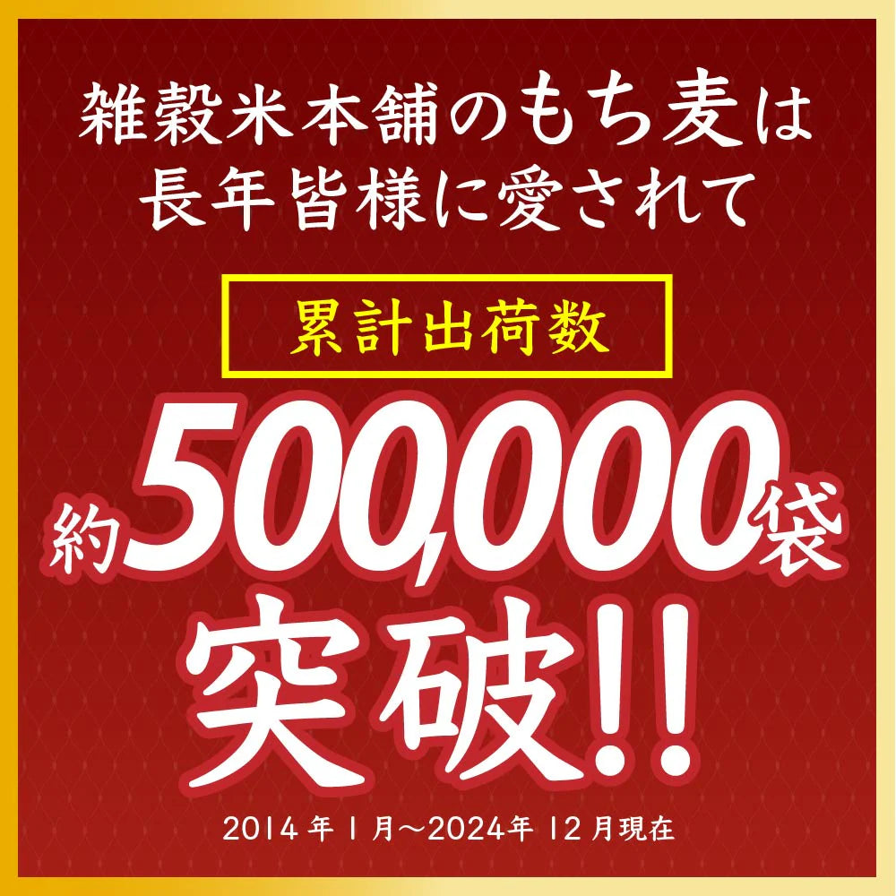 雑穀 雑穀米 国産 もち麦 24kg(400g×60袋) 業務用サイズ 無添加 無着色 送料無料 ダイシモチムギ