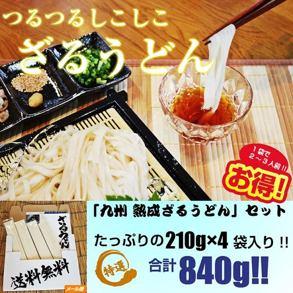 ざるうどん　お取り寄せ　九州ざる饂飩　210g×4袋　たっぷり　約8人前 セット 平打ち麺　つるつるモチモチ食感　熟成うどん麺　お試しグルメギフト