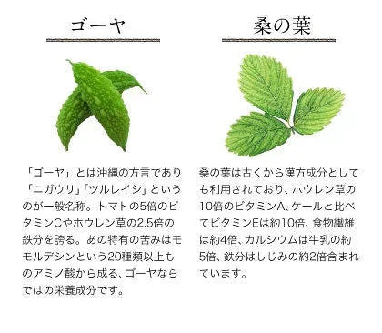 朝摘み もぎたて 青汁 大麦若葉 90g(3g×30包) 送料無料 美味しい 飲みやすい 青汁 乳酸菌 プラセンタ 食物繊維 ダイエット 甘い青汁《3-7営業日以内発送(土日祝除く)》