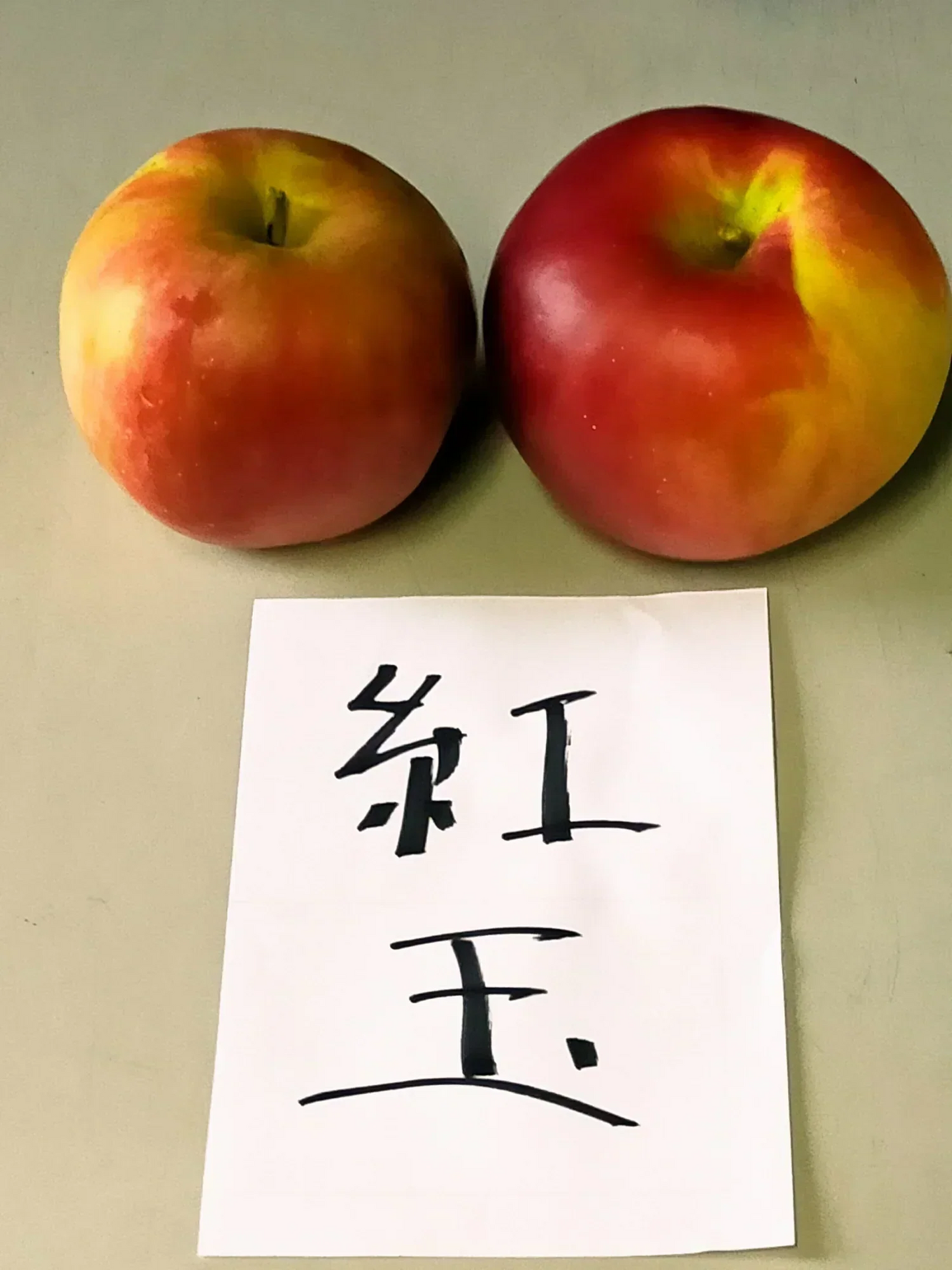 青森りんご 紅玉 訳あり 酸味が強い香りもよく生のまま食べると甘酸っぱくて濃厚な味わい  2.5㎏約12個 変動あり【6133】