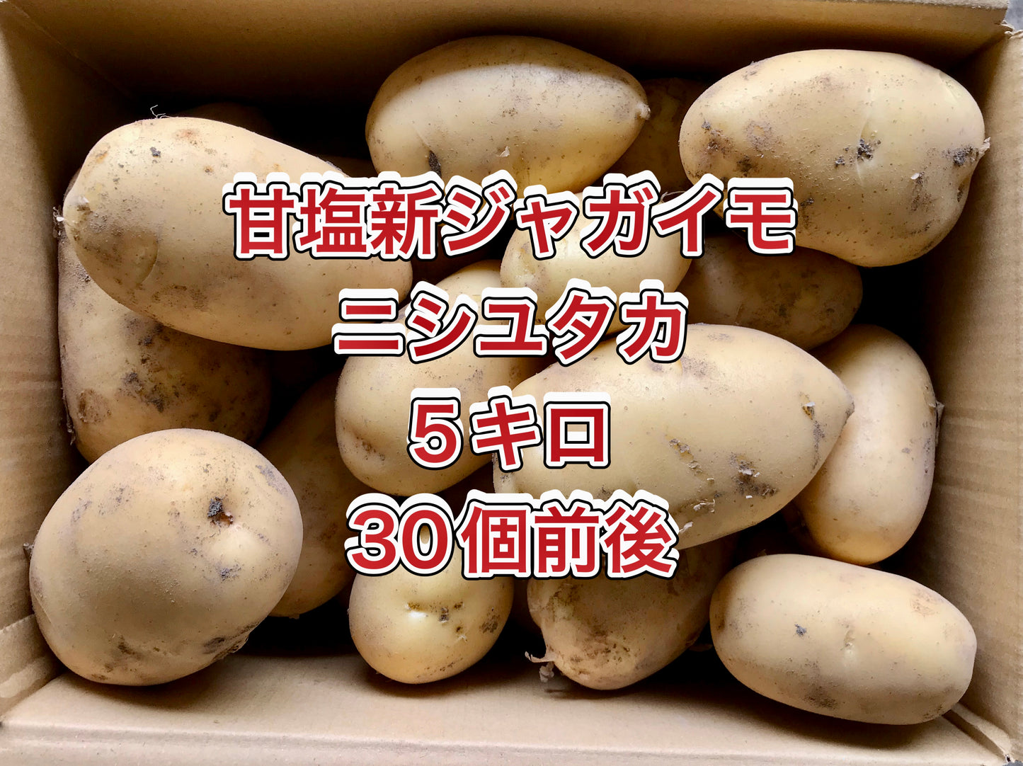 【鹿児島産 】甘塩新ジャガイモ箱込み5キロ^_^