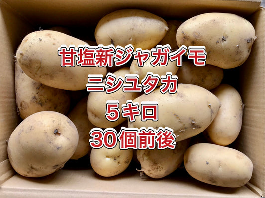 【鹿児島産 】甘塩新ジャガイモ箱込み5キロ^_^