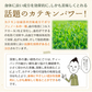 日本橋いなば園 こいうま深蒸し茶ティーバッグ ペットボトル用 3g×20包 メール便送料無料 水だし 水出し茶 ギフト おくりもの 贈り物 プレゼント お礼 香典返し お礼 贈答 内祝い 母 手土産 贈物 煎茶 還暦祝い 茶匠庵 結婚祝い 誕生日