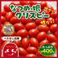 《新感覚トマト》【12月〜1月末日までに発送】【予約】約400g ＼サクサク食感で新感覚！／なつめっ娘クリスピートマト(230~250g+保証分150g)日本一の産地から農家直送 熊本県産 ミニトマト 野菜 青果 フルーツ【カウシェファーム収穫対象商品】