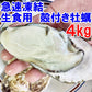 急速凍結 生食用冷凍牡蠣 殻付き 牡蠣 送料無料 ４ｋｇ（目安40個程度） 冷凍便 牡蠣 殻付き 殻付 カキ 牡蛎 かき 松島牡蠣屋 BBQ バーべキュー 二枚貝 貝類  kaki かきカキ