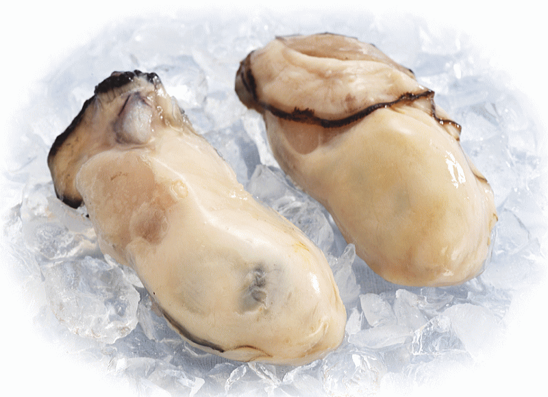 【超得ハイパーSALE】カキ かき 牡蠣 広島 1kg 冷凍 牡蠣(かき)特大 1kg (正味量約850g)×1袋 広島産/広島県産  送料無料 カキフライ バーベキュー 材料 BBQ 鍋 鍋セット ヘルシー  日時指定不可