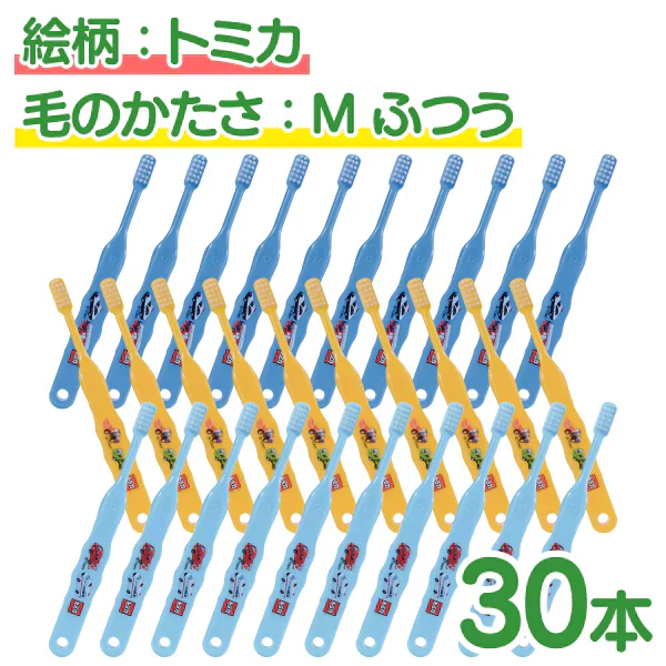 歯ブラシ ［トミカ3色アソート･Mふつう･30本入］【Ciメディカル 歯ブラシ】 子供 Ci502 【ゲリラセール】