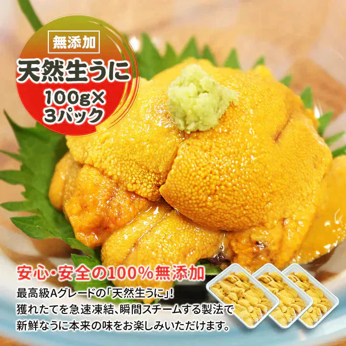 無添加 天然生うに 300g 100g×3パック 送料無料