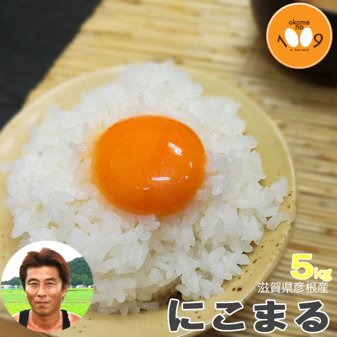 米 滋賀県彦根産 にこまる 白米 5kg 西村悟 令和7年産