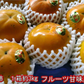 【10月中旬より順次発送予定】太秋柿 訳あり 3kg×3箱 (1箱 約7～14玉) 送料無料