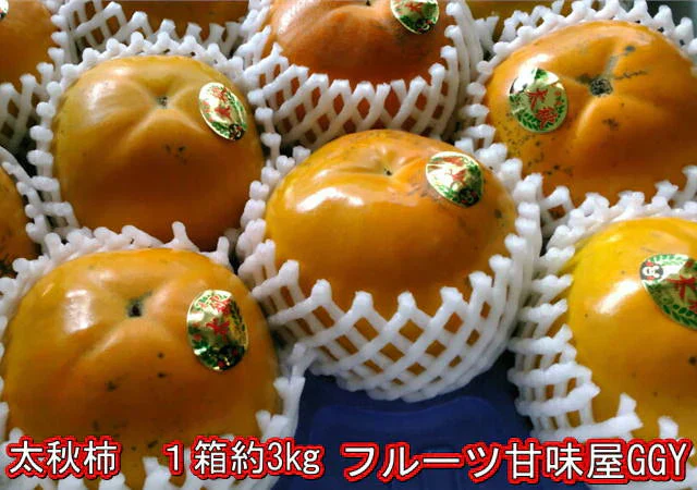 【10月中旬より順次発送予定】太秋柿 訳あり 3kg×3箱 (1箱 約7～14玉) 送料無料