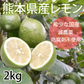 レモン 国産レモン 送料無料 2kg S～L  熊本県産 お取り寄せ 減農薬 防腐剤ワックス不使用 れもん グリーンレモン 国産